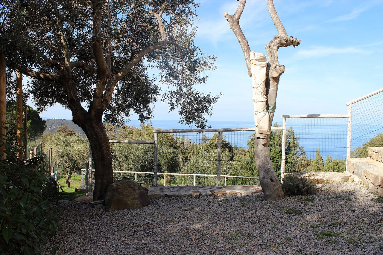 Country House Tagliaferro Marciana Marina  Exterior photo